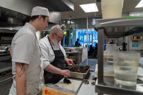 kitchen, cook, chef, cooking, countertop, job