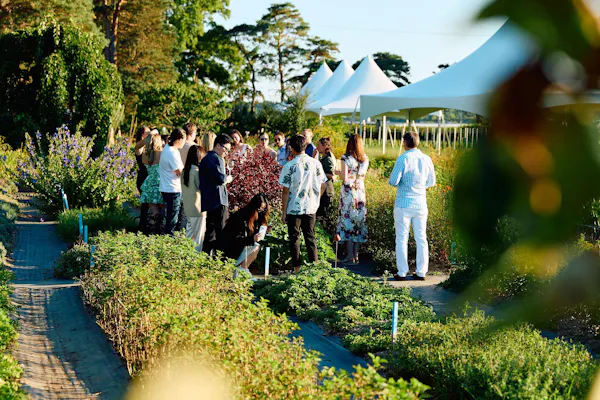 plants, shrub, garden, recreation, plant community, leisure