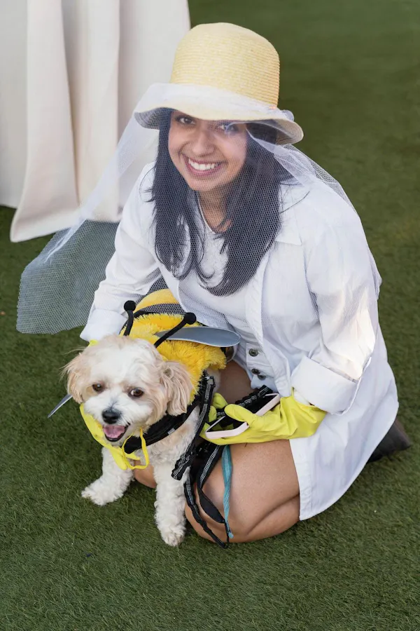 dog, vertebrate, carnivores, smile, pet supply, sun hat