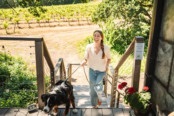 dog, carnivores, people in nature, leisure, canidae, vacation