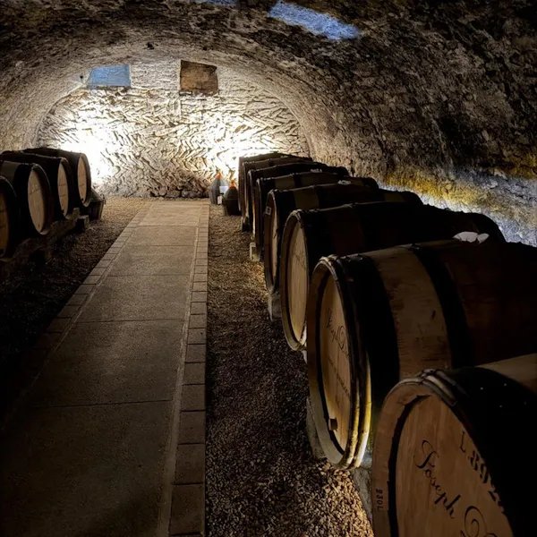 barrel, winery, wine cellar, basement