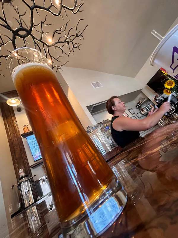 drinkware, tableware, barware, liquid, beer glass, beer