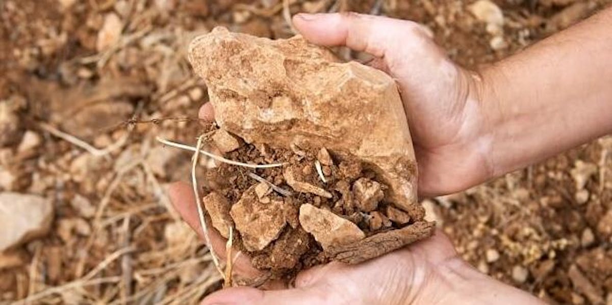 Noble Riot Wine Bar Denver, CO Tock