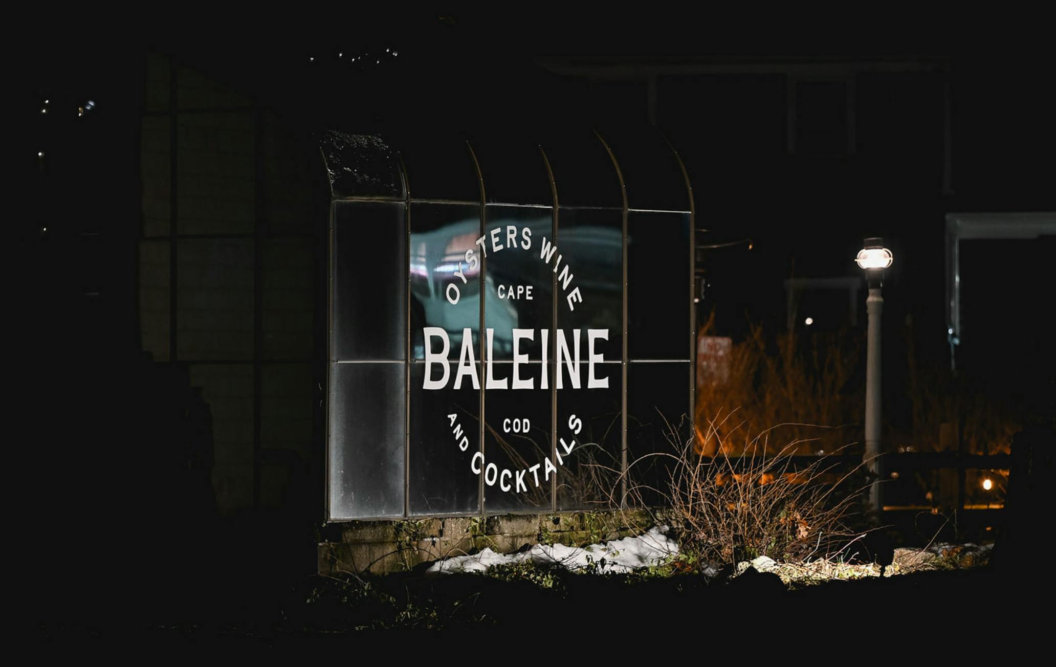 Baleine