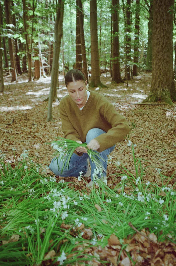leaf, natural environment, forest, groundcover, people in nature, woodland