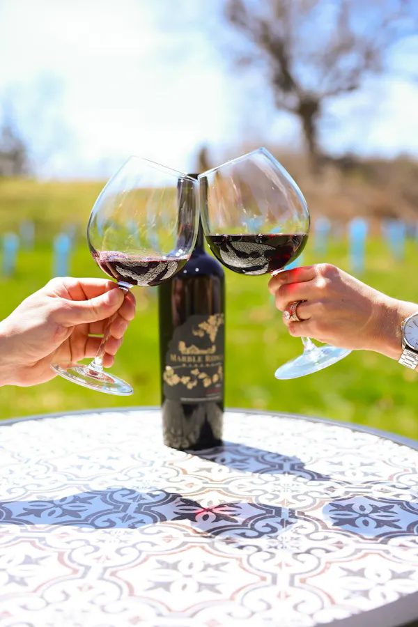 bottle, alcoholic drink, alcohol, stemware, wine, liquid