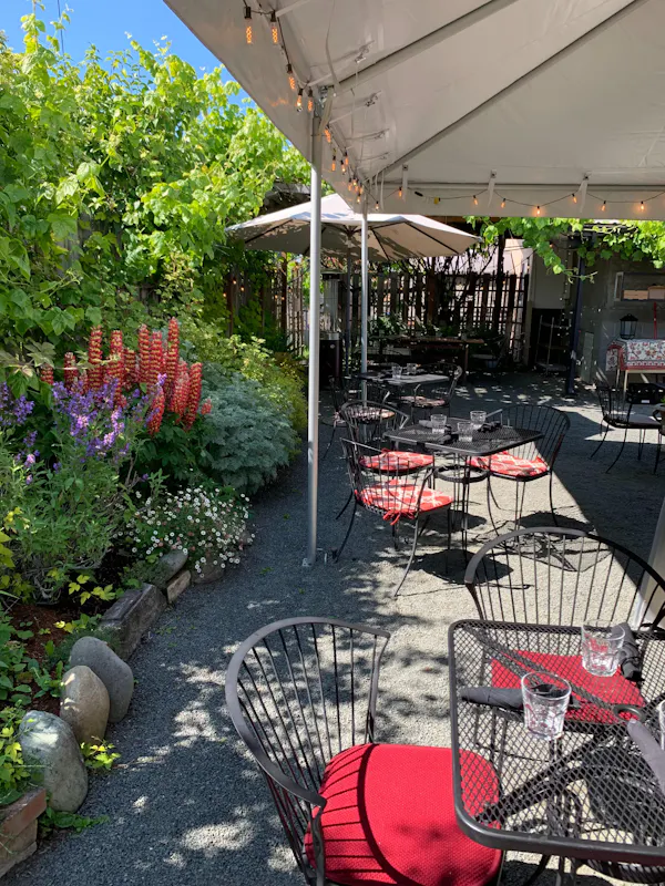 plant, furniture, chair, table, outdoor furniture, shade