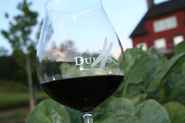 stemware, tableware, drinkware, alcoholic drink, alcohol, wine glass