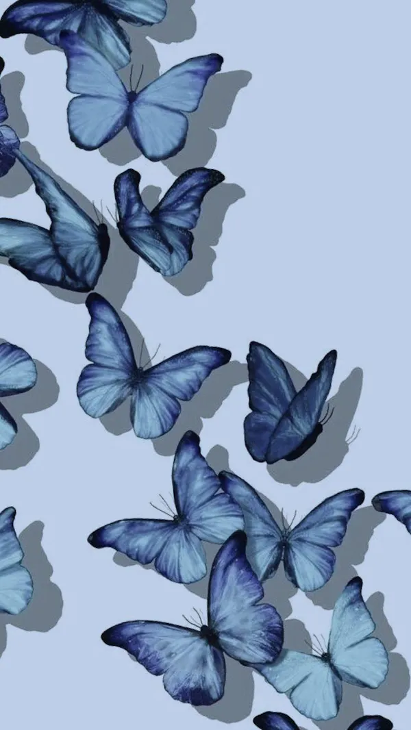 blue, butterfly, pollinator, wing, arthropod, lepidoptera