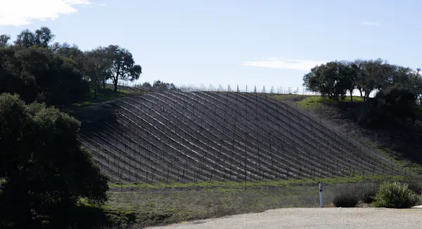 agriculture, plantation, field, crop, soil, farm