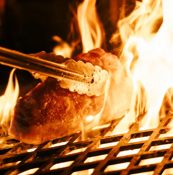 flame, fire, grilling, food, roasting, meat