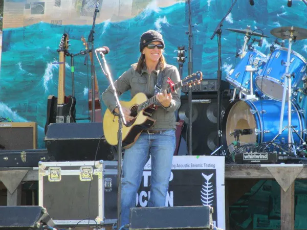 musical instrument, string instrument, plucked string instrument, audio equipment, chordophone, guitarist