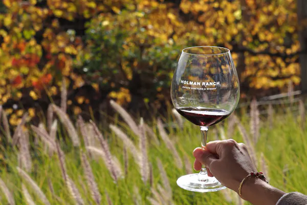 stemware, tableware, drinkware, wine glass, alcoholic drink, barware