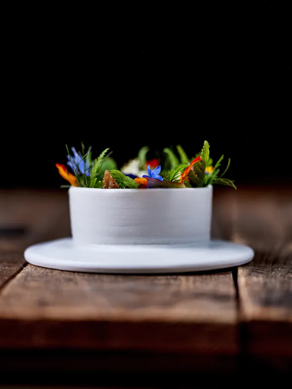 serveware, dishware, culinary arts, cake decorating, cake decorating supply, cake
