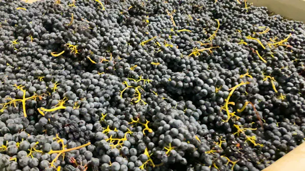 food, fruit, produce, natural foods, seedless fruit, grape