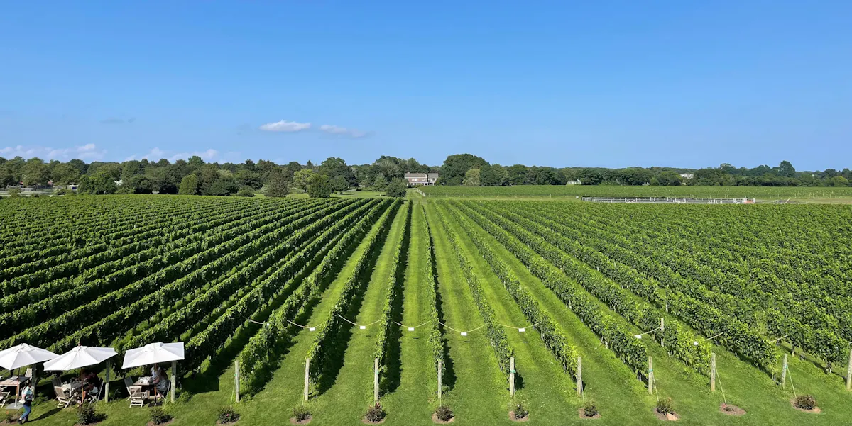 Wölffer Estate Vineyard Sagaponack, NY Tock