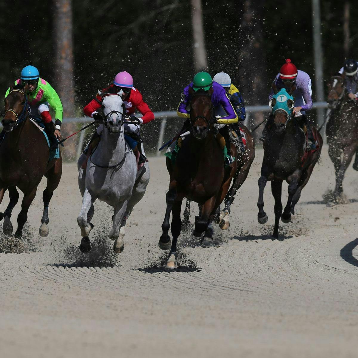 Race Sponsorship at Tampa Bay Downs