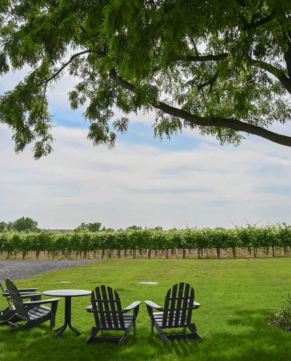 grass, outdoor furniture, landscape, furniture, plain, grassland
