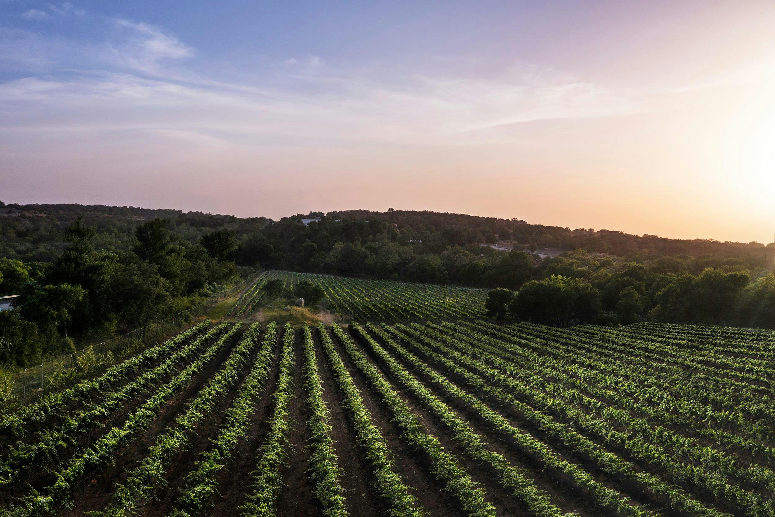 Carter Creek Winery