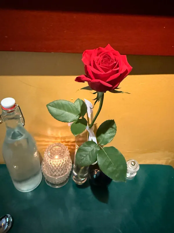 flower, petal, garden roses, red, cut flowers, pink