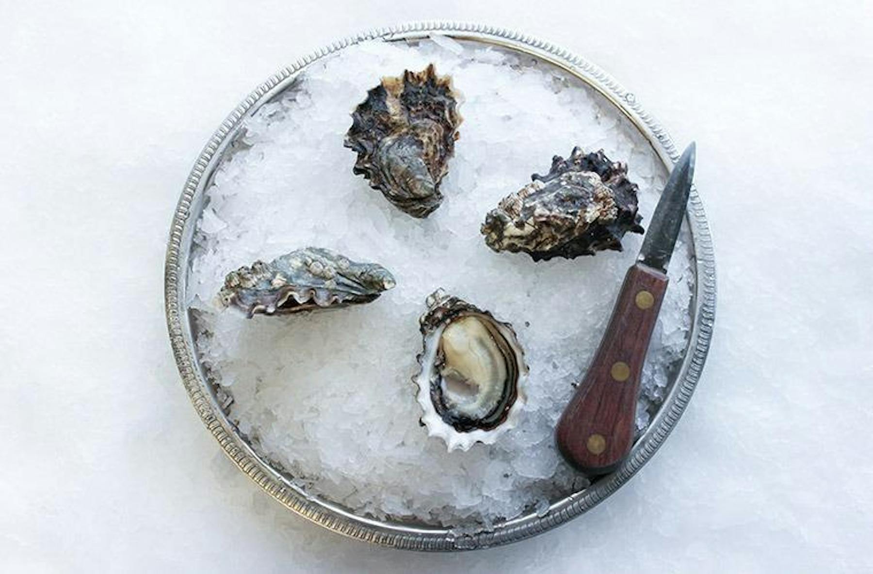 Pier 48 Fish House & Oyster Bar Indianapolis, IN Tock