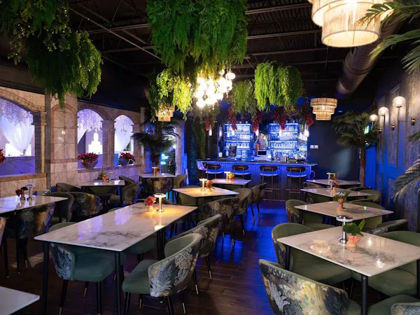 restaurant, chair, decoration, light fixture, chandelier, houseplant