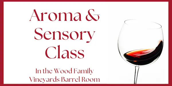 drinkware, tableware, stemware, alcoholic drink, wine, dessert wine