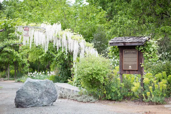 shrub, plant community, groundcover, garden, spring, botanical garden