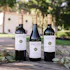 Wente Family Vineyards Tasting Room