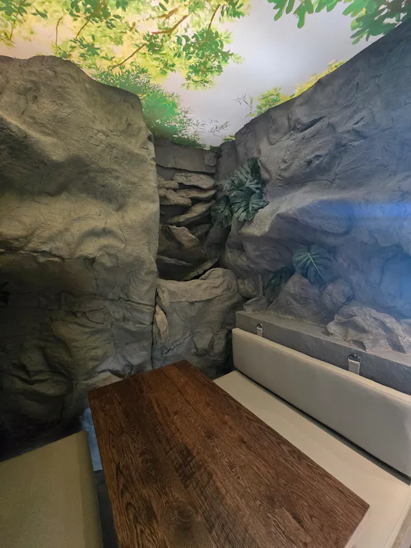 wood, plant, bedrock, wall, landscape, tree