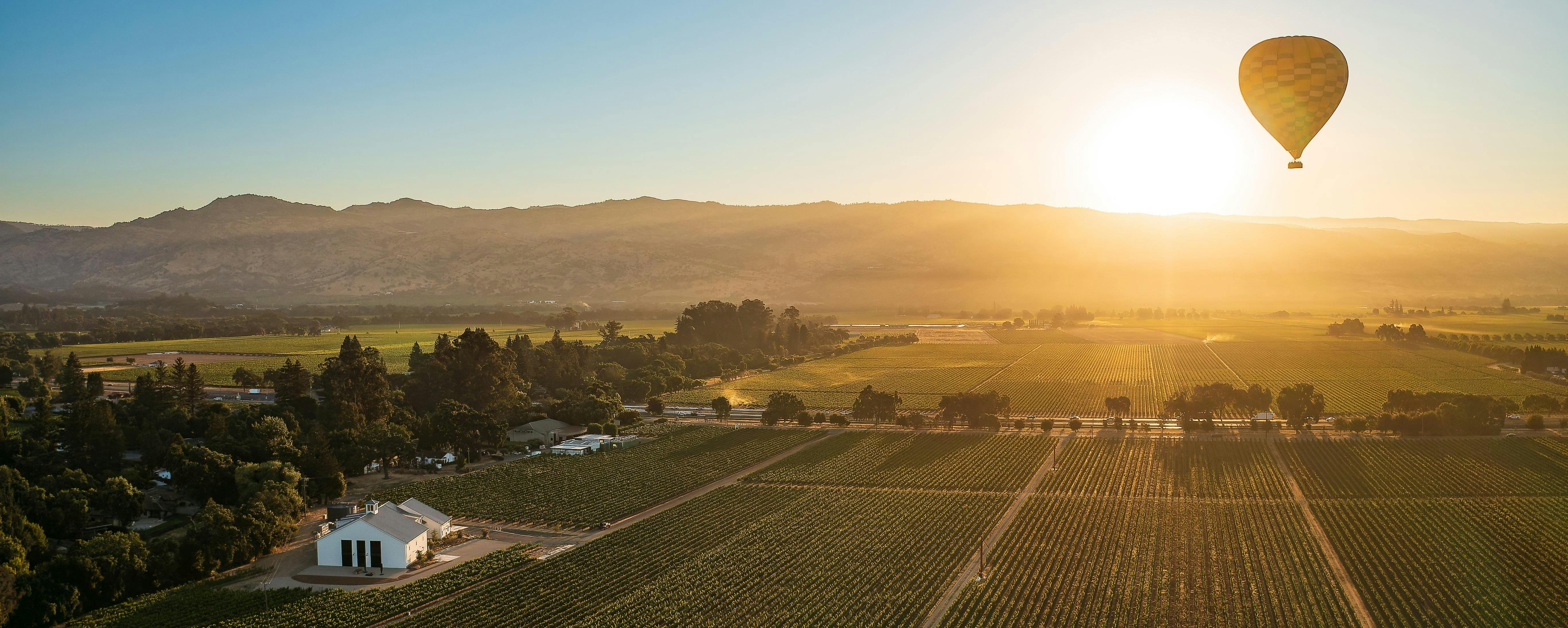 Arrow&Branch Winery