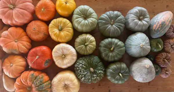 pumpkin, calabaza, winter squash, produce, natural foods, vegetable