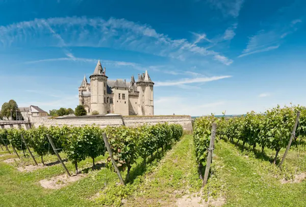 castle, turret, tourist attraction, château, medieval architecture, field