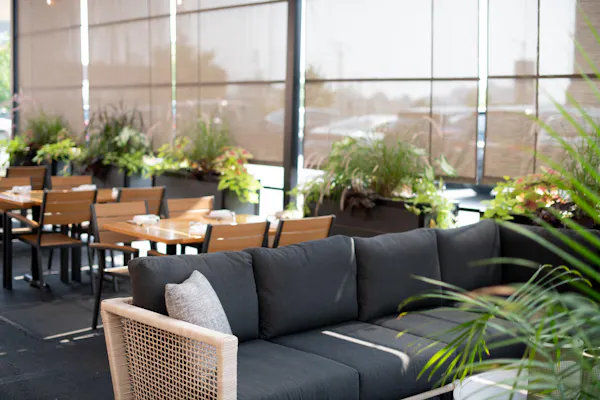 furniture, table, chair, restaurant, flowerpot, houseplant