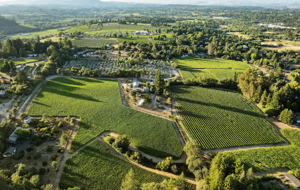 bird's-eye view, aerial photography, landscape, land lot, plain, field