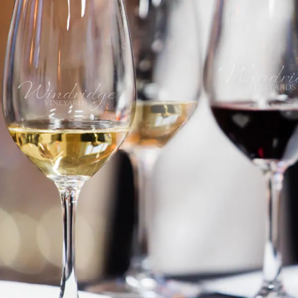 stemware, tableware, wine glass, drinkware, barware, alcohol