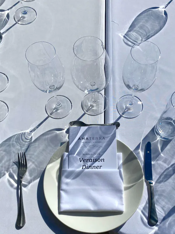 tableware, stemware, drinkware, dishware, wine glass, white