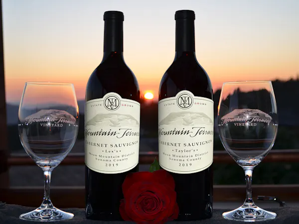 tableware, bottle, stemware, liquid, drinkware, wine glass