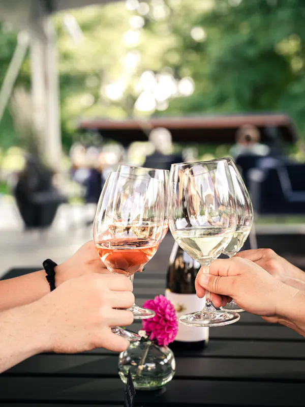 stemware, tableware, drinkware, wine glass, barware, champagne glass