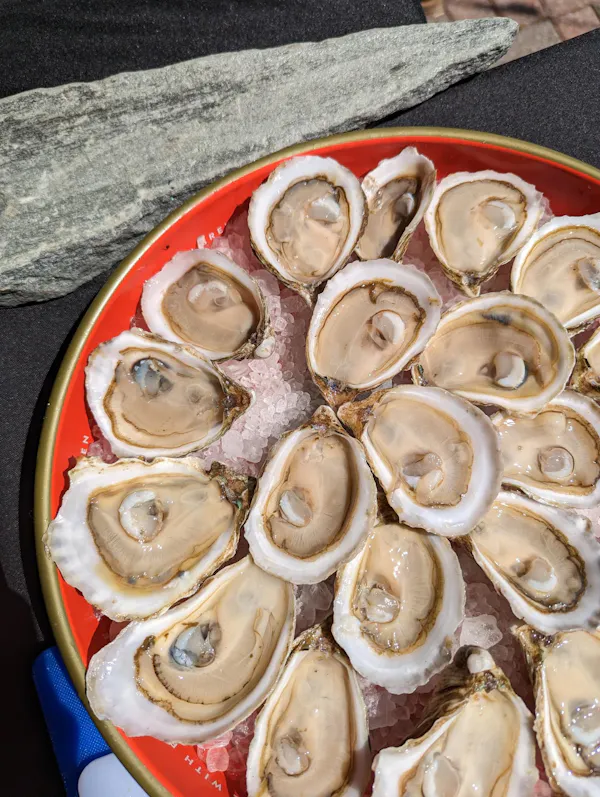 food, oyster, tableware, seafood, bivalvia, ingredient