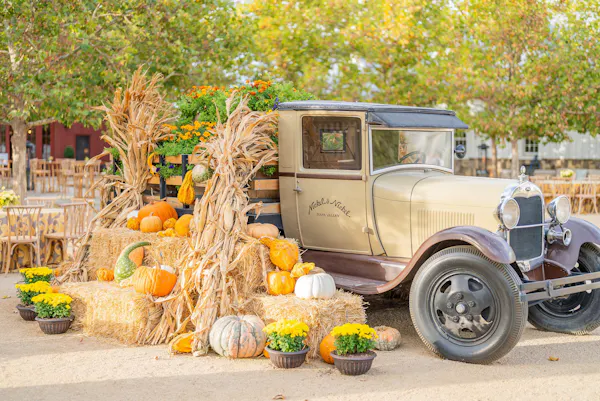 calabaza, pumpkin, produce, winter squash, natural foods, squash
