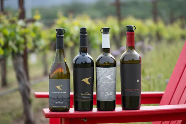 bottle, alcoholic drink, glass bottle, wine bottle, alcohol, wine