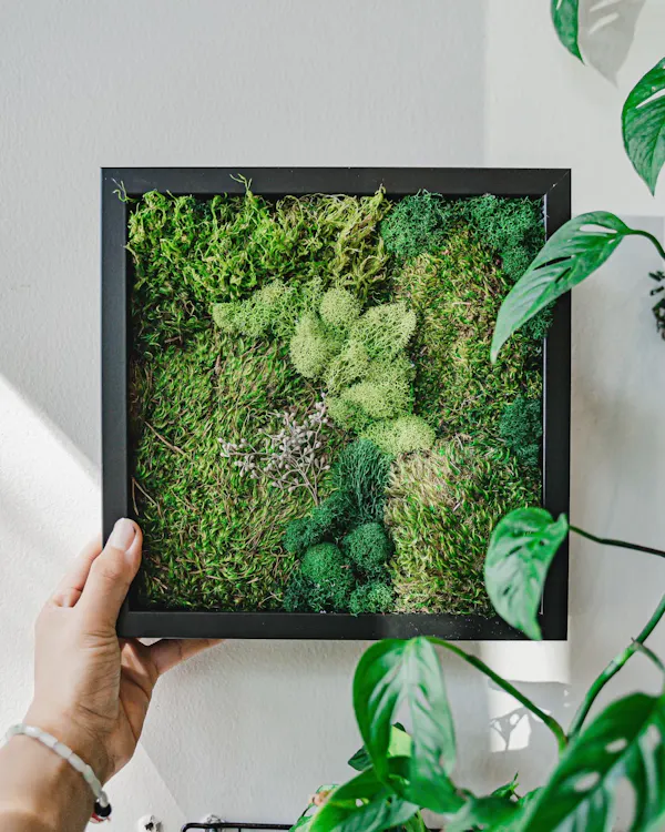 green, leaf, botany, plant, organism, gesture