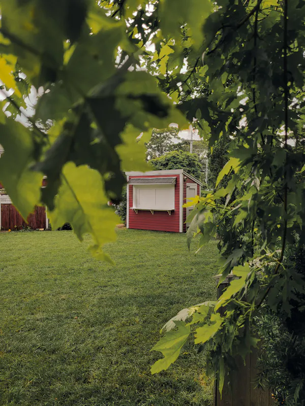 green, red, shrub, land lot, spring, garden