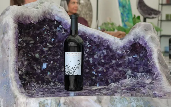 bottle, glass bottle, alcoholic drink, liquid, drinkware, wine bottle