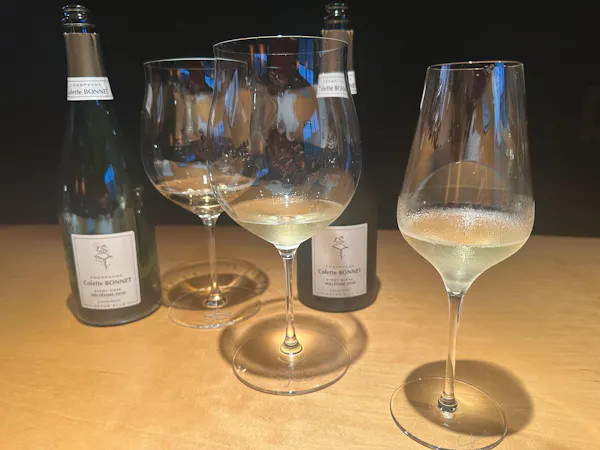 alcoholic drink, stemware, liquid, barware, champagne glass, alcohol