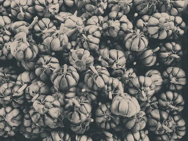 monochrome photography, monochrome, natural foods, black and white, produce, still life photography