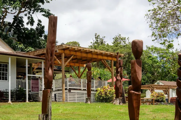 wood, plants, shade, leisure, recreation, garden