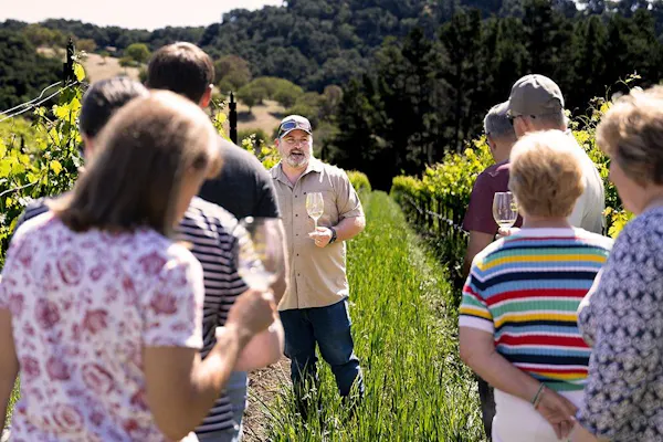 shrub, leisure, recreation, agriculture, spring, people in nature