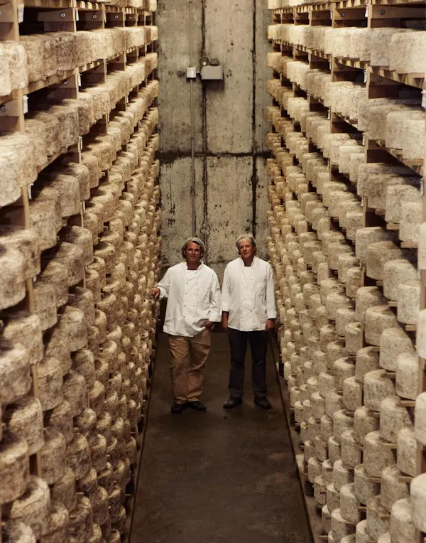 cheese, cheesemaking, parmigiano-reggiano, mass production